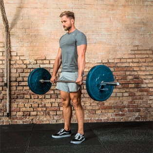 Muskelaufbau für Anfänger – so gelingt deine Körpertransformation!