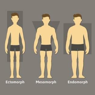 Körpertypen: Training & Ernährung für deinen Körperbau